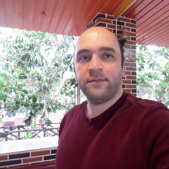 Hamid's Picture